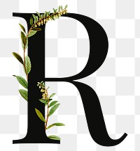 PNG floral letter R digital art illustration, transparent background