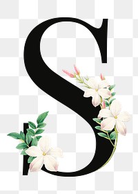 PNG floral letter S digital art illustration, transparent background