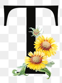 PNG floral letter T digital art illustration, transparent background