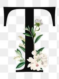 PNG floral letter T digital art illustration, transparent background