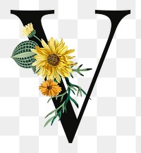 PNG floral letter V digital art illustration, transparent background