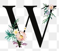 PNG floral letter W digital art illustration, transparent background