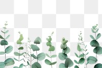 PNG Plant green leaf backgrounds.