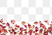 PNG Petal leaf backgrounds pattern.