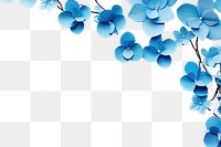 PNG Blue orchid flowers border backgrounds turquoise nature.