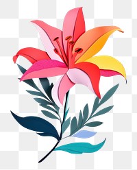 PNG Lily art flower plant