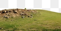 PNG  Grass hill grassland livestock