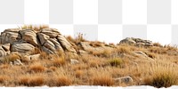 PNG Grass field rock landscape