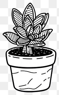 PNG Outline sketching illustration of a plant pot cartoon drawing leaf.