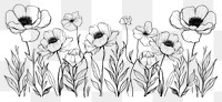 PNG Divider doodle border peony drawing sketch white.