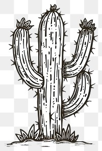 PNG simple hand drawn decorative *divider doodle cactus*, black outline, cute ornament, minimal, white background, --ar 3:2 --v 6.0