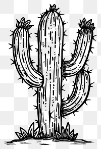 PNG Divider doodle cactus plant line white background.