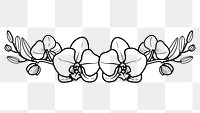 PNG Divider doodle orchid pattern drawing sketch.