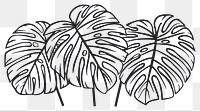 PNG Divider doodle palm leaves drawing sketch plant