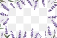 PNG Lavender flowers frame backgrounds lilac plant.