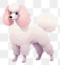 PNG Animal mammal poodle pet. 