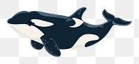 PNG Whale orca animal mammal shark.