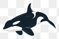 PNG Whale orca animal mammal shark.