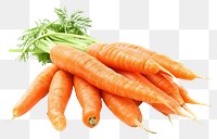 PNG Carrots carrot invertebrate vegetable.