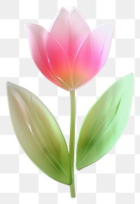 PNG Tulip made from polyethylene flower petal plant.