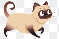 PNG  Siamese kitten fast running siamese cat kangaroo.
