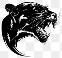 PNG  Panther drawing illustrated wildlife.