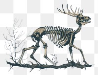 PNG Skeleton with animal dinosaur drawing sketch.