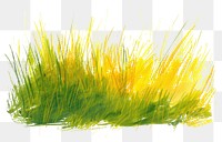 PNG Meadow grass plant wheatgrass.