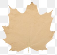PNG Maple plant paper leaf.