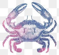 PNG Crab lobster seafood animal.