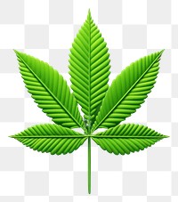 PNG Cannabis plant green leaf.