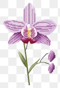 PNG Cross stitch orchid pattern flower plant.