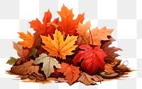 PNG Pile of autumn leaves person plant maple.