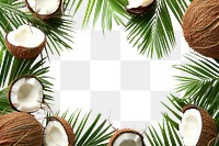 PNG Coconut coconut backgrounds plant.