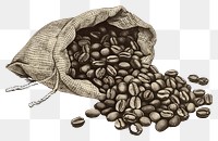 PNG Coffee beans in sack beverage animal drink.