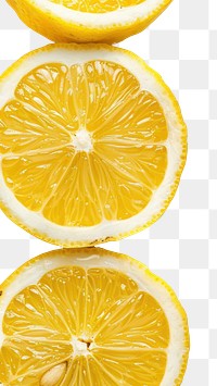 PNG Lemon backgrounds fruit plant