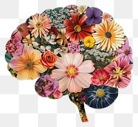 PNG Flower Collage brain pattern flower plant.