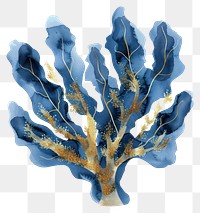 PNG Coral reef painting seaweed art