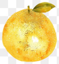 PNG Citrus grapefruit produce plant
