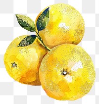 PNG Citrus grapefruit produce orange