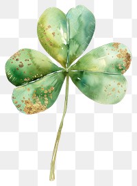 PNG Clover leaf white background accessories freshness.