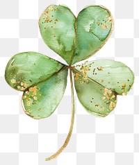 PNG Clover leaf plant white background accessories