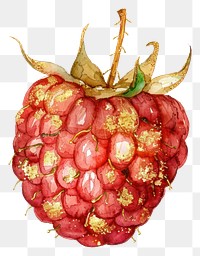 PNG A raspberry produce ketchup fruit