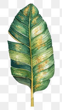 PNG Banana leaf tobacco animal plant