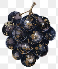 PNG Grape grapes fruit plant.
