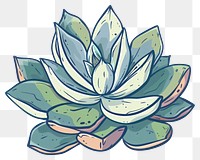 PNG Succulent flat illustration art illustrated agavaceae.