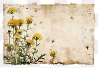 PNG Vintage frame of dandelion flower plant paper.
