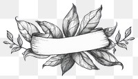 PNG  Ribbon with leaf pattern drawing sketch.