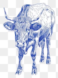 PNG Vintage drawing cow livestock buffalo cattle.