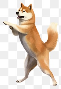 PNG Shiba dog inu mammal animal pet.